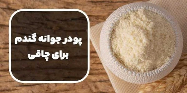 مقدار مصرف روزانه پودر جوانه گندم برای چاقی