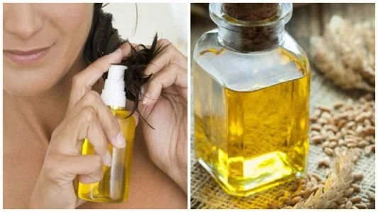 جوانه گندم برای رشد مو
