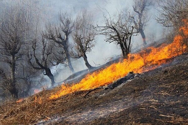 مهار آتش‌سوزی های جنگلی در غرب و جنوب غرب کشور - خبرگزاری سفیر افلاک | اخبار ایران و جهان