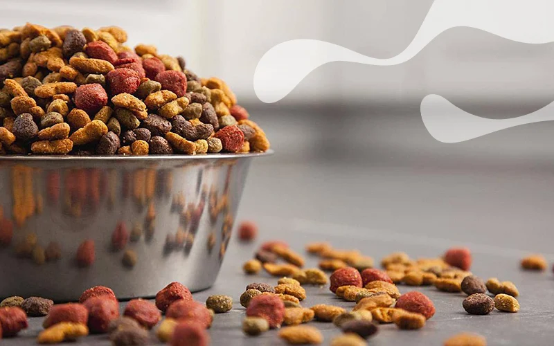 آیا غذای خشک بهترین گزینه برای حیوانات خانگی شماست؟