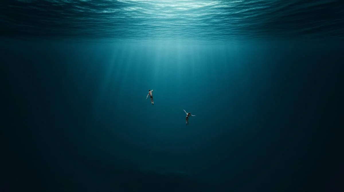 فیلم ترسناک Open Water | هر آنچه باید بدانید